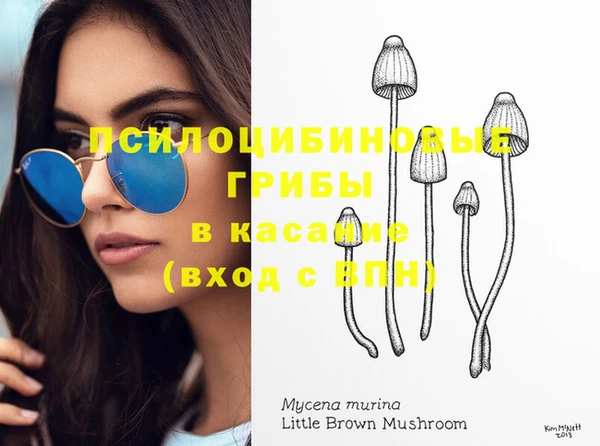 соль ск Заводоуковск