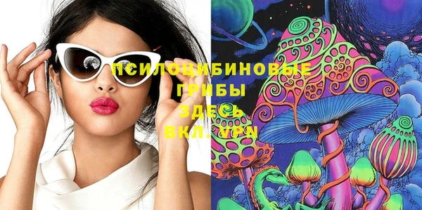 соль ск Заводоуковск