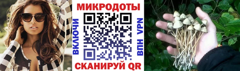 Купить  Духовщина  Псилоцибиновые грибы MAGIC MUSHROOMS 